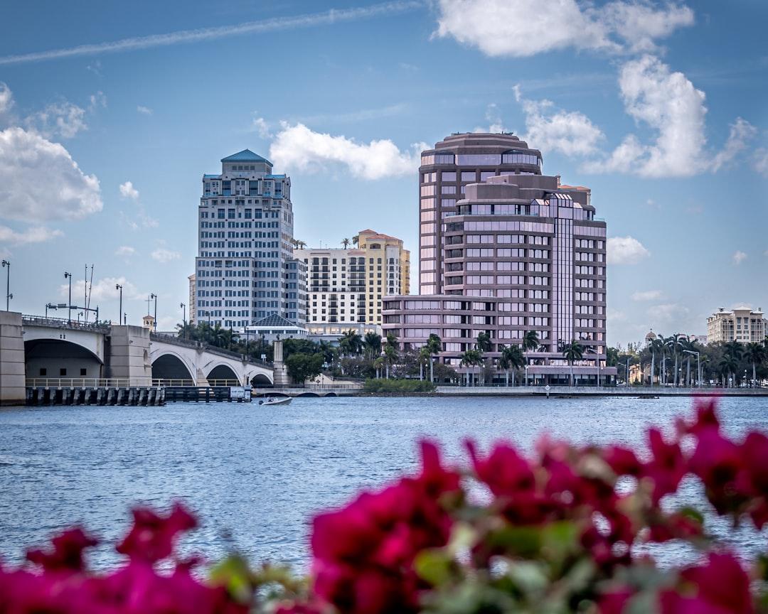Red Roses near Body of Water and City Buildings during Daytime